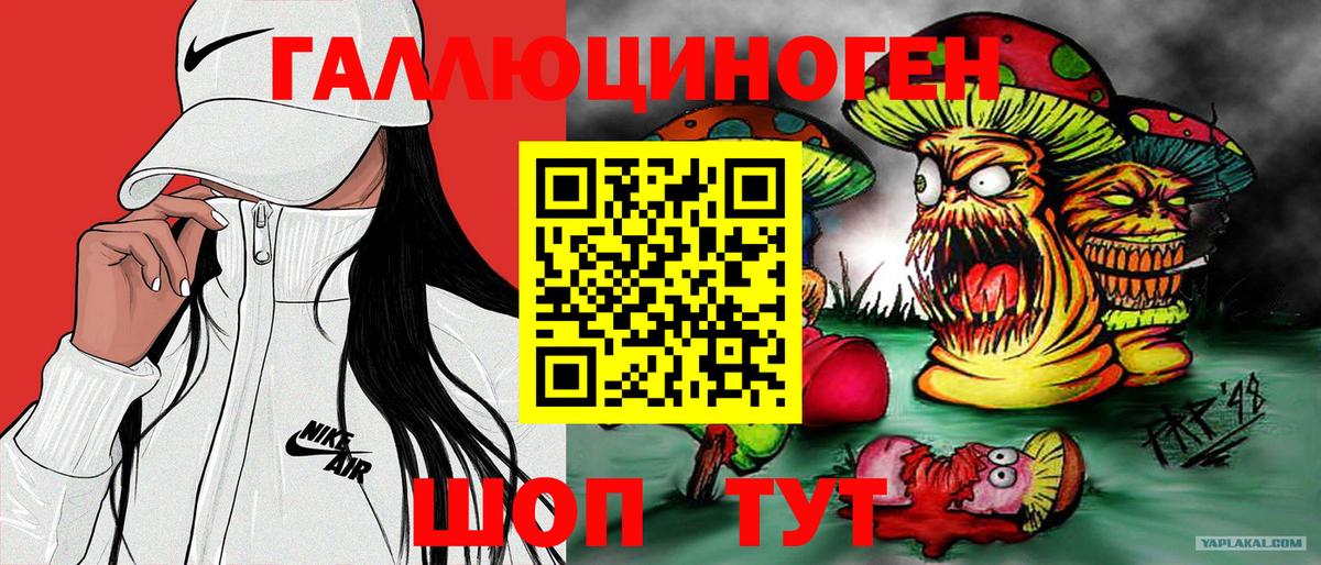 Галлюциногенные грибы Psilocybine cubensis  как найти закладки  Ишим  Галлюциногенные грибы прущие грибы  Вход с VPN 